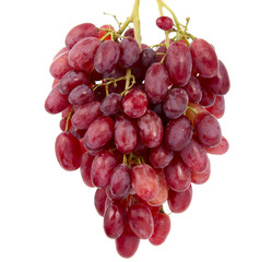 Fototapeta premium pink grapes