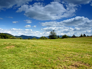 PRAIRIE DE MOYENNE MONTAGNE