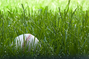 Baseball in grass