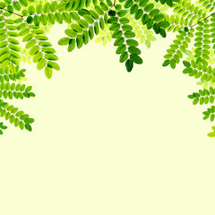 fresh Green leaves on green background