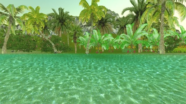 Hawaiian paradise
