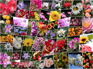 Collage mit Blumen