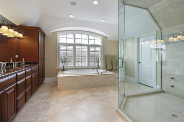Large master bathroom