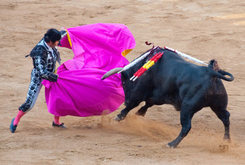 Spanish coriida