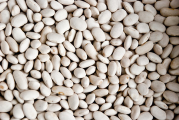 haricot beans