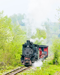 narrow gauge railway, Banovici, Bosnia and Hercegovina