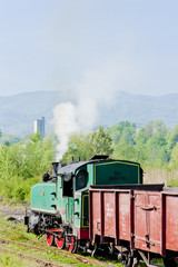Fototapeta na wymiar steam freight train, Durdevik, Bosnia and Hercegovina