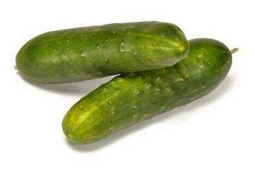 Deux petits concombres