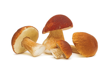 mushrooms close-up