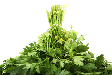 Green leaves of parsley