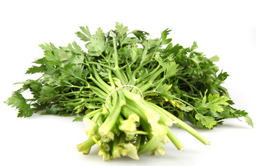 Green leaves of parsley