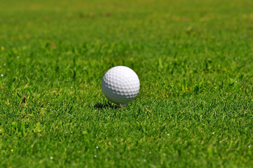 Golf Ball