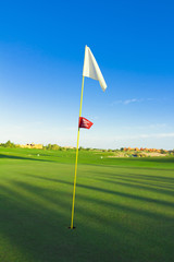 Golf Flag Stirred By The Wind