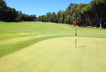 Obraz premium Flag on the golf course.