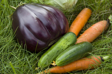 Vegetables on a green grass