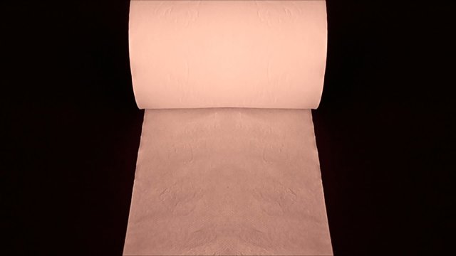 Rouleau de papier toilettes