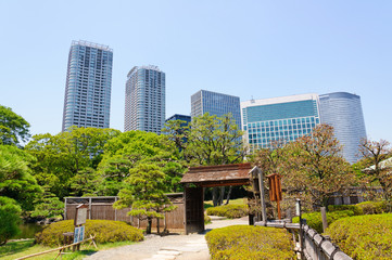 Obraz na płótnie Canvas Hamarikyu Gardens in Tokyo, Japan
