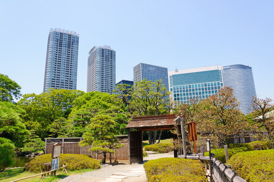 Hamarikyu Gardens in Tokyo, Japan