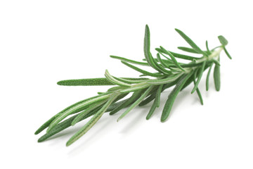 Rosemary