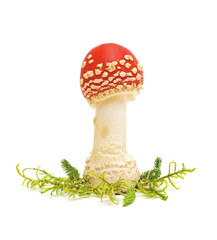 FLY AGARIC MUSHROOM