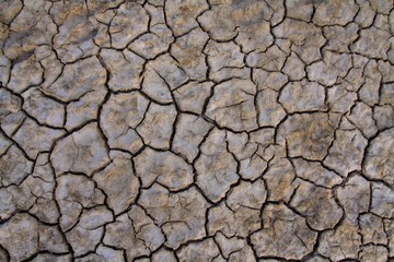 dry cracked soil background
