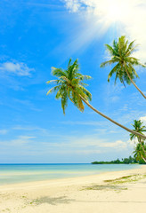 Tropical beach at Seychelles - vacation background