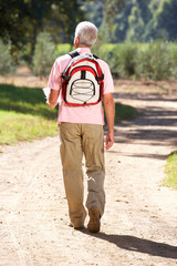 Naklejka premium Senior man reading map on country walk