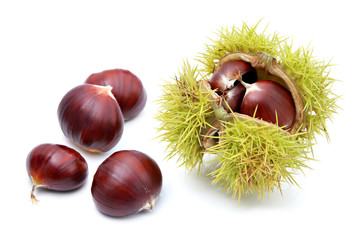 Chestnuts in husk, isolated on a white background