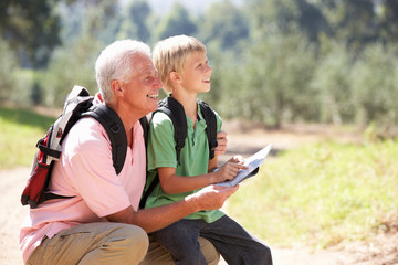 Senior man reading map with grandson on country walk