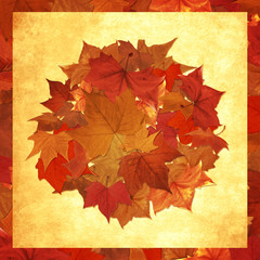 Autumn leaf lot in circle frame background