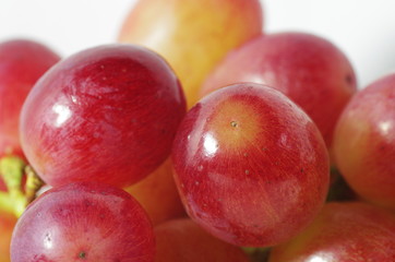 葡萄の粒のクローズアップ