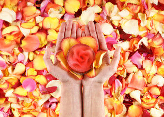 Beautiful hands with the flower petals