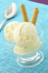 delicious vanilla ice cream