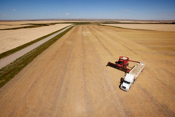 Harvest Aerial