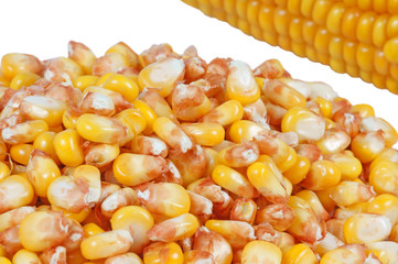 Maiskolben und Maiskörner