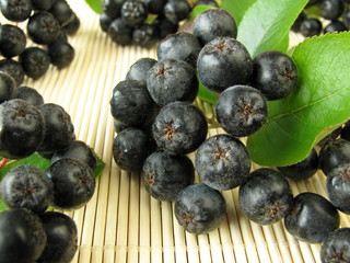 Aronia – Apfelbeere