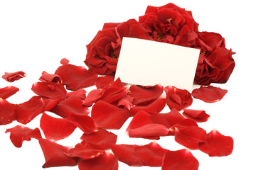 Red roses with a blank note