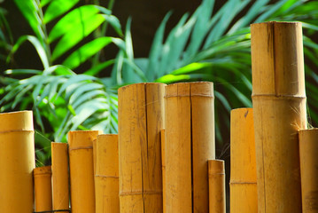 Fototapeta premium Bambusstange - bamboo cane 03