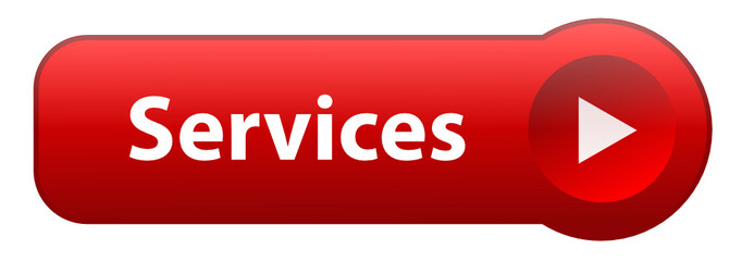 Fototapeta premium Bouton Web SERVICES (recherche catalogue projets produits prix)