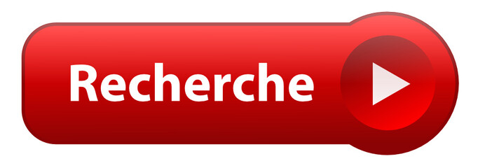 Bouton Web RECHERCHE (internet moteur rechercher en ligne site)