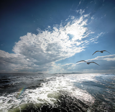 The White sea.