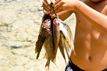 Sea Gypsies and andaman fish