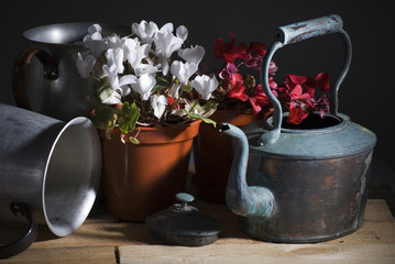 copper pot and flowers