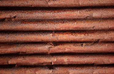 Old corrugated iron fence for background.