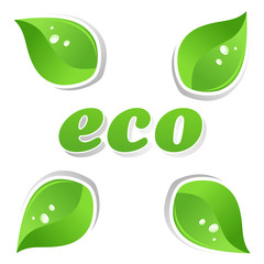 Ecology and green leafs of a plant. A vector illustration