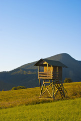 Watch tower on the meadow