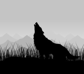 Fototapeta premium The wolf howls in mountains in a fog. A vector illustration