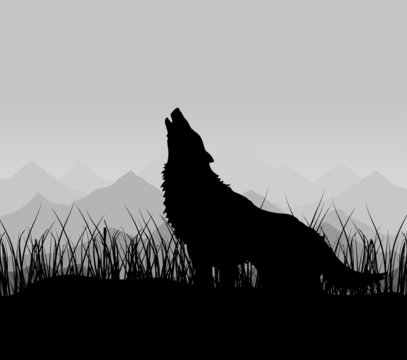 The wolf howls in mountains in a fog. A vector illustration