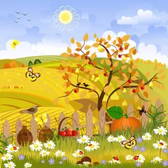 Crédence de cuisine en plexiglas Oiseaux, abeilles Arbre d& 39 automne paysage rural
