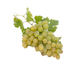 grapes